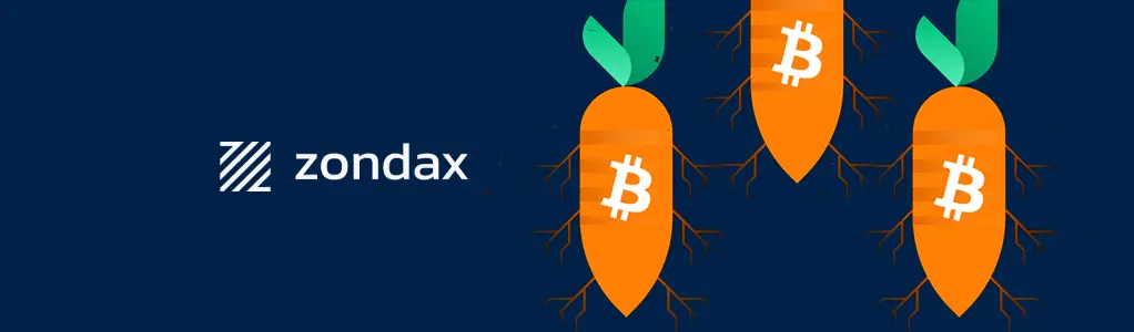 Bitcoin Taproot Upgrade: A Brief Review