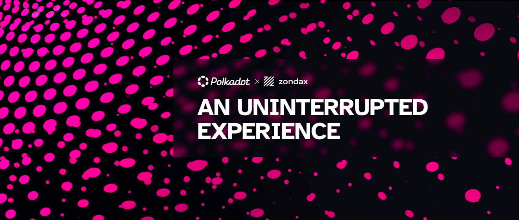 La nueva app de Polkadot: una experiencia ininterrumpida